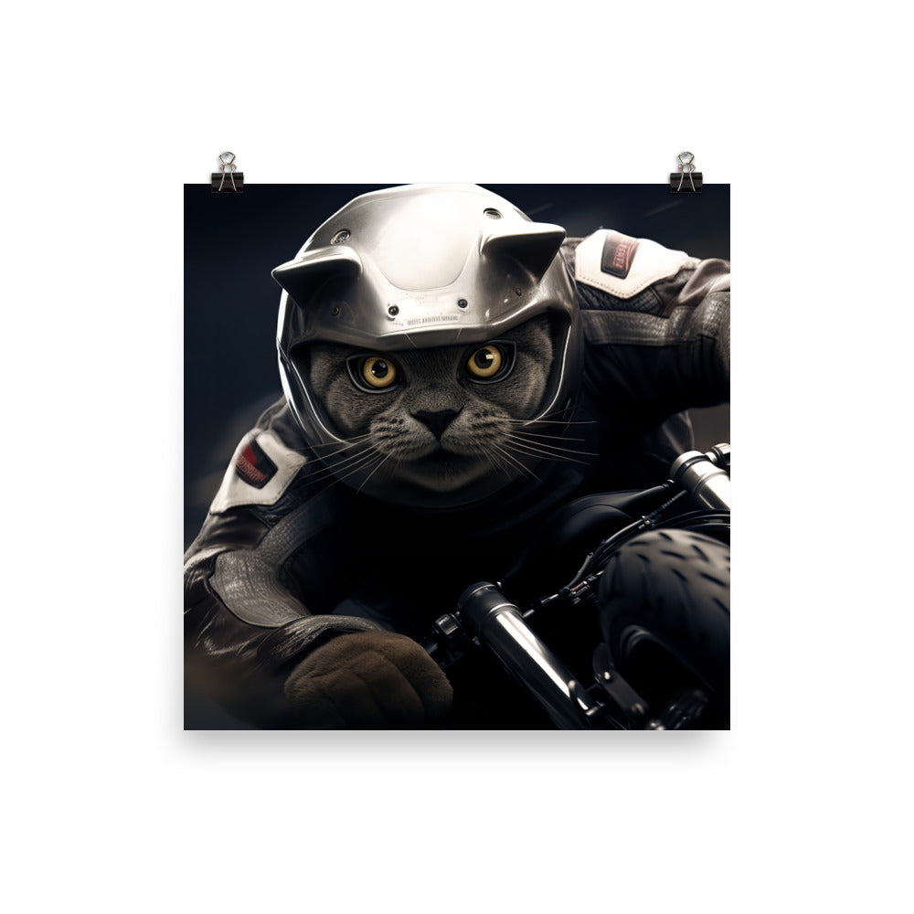 British Shorthair Superbike Athlete Photo paper poster - PosterfyAI.com