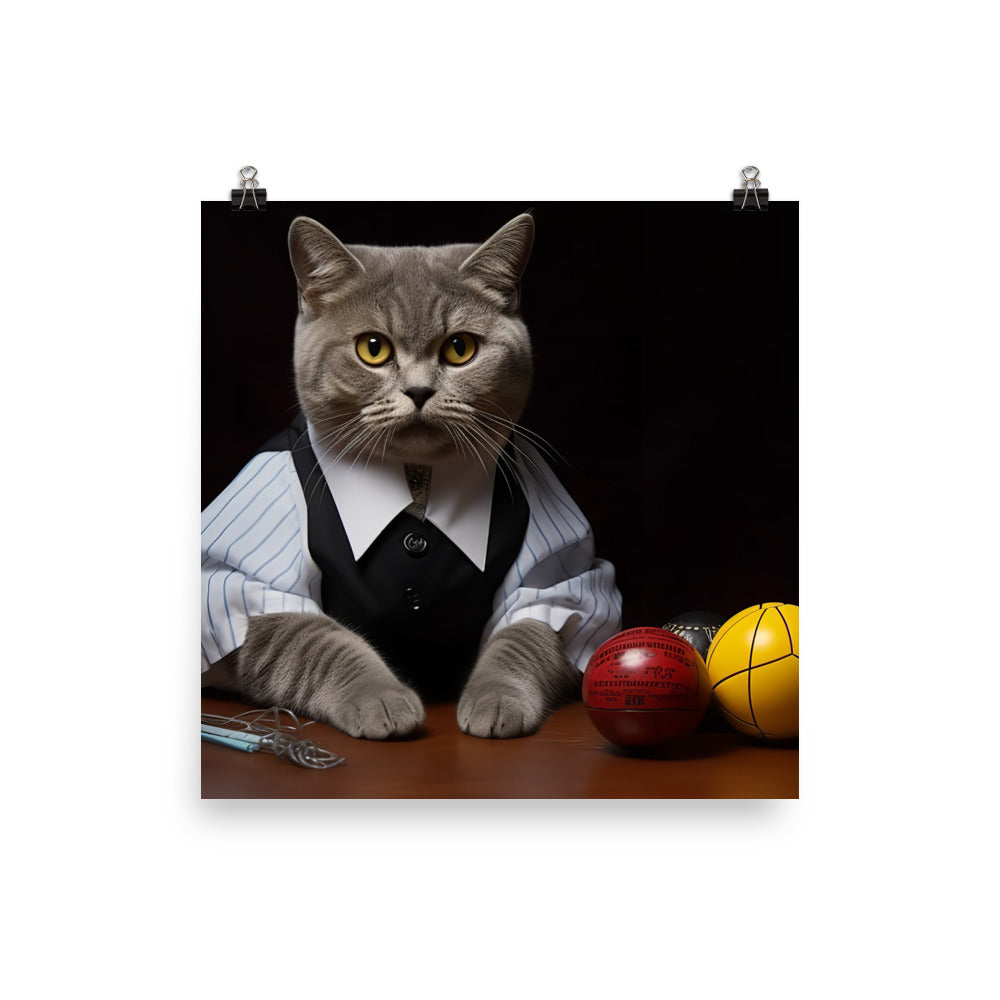 British Shorthair Referee Photo paper poster - PosterfyAI.com
