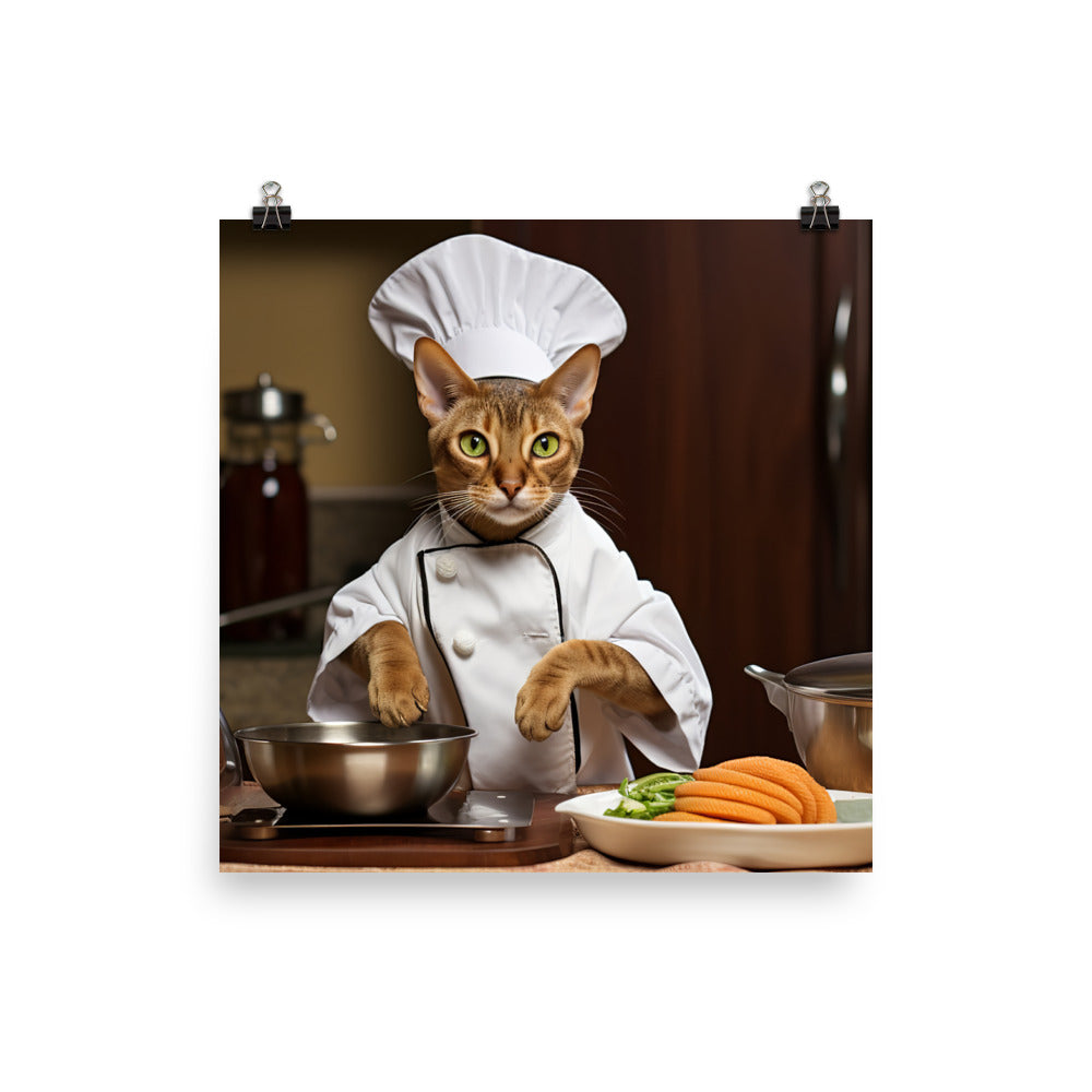 Abyssinian Chef Photo paper poster - PosterfyAI.com