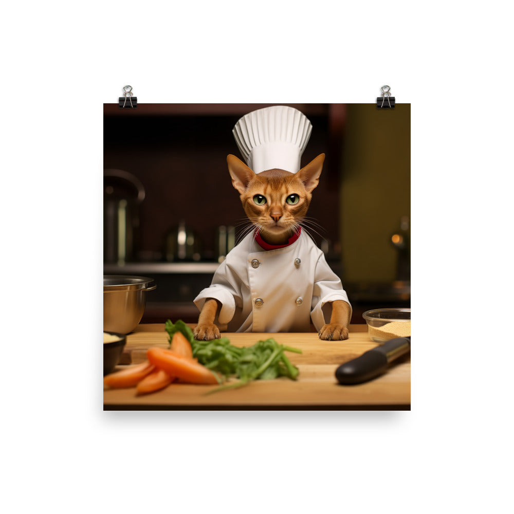 Abyssinian Chef Photo paper poster - PosterfyAI.com