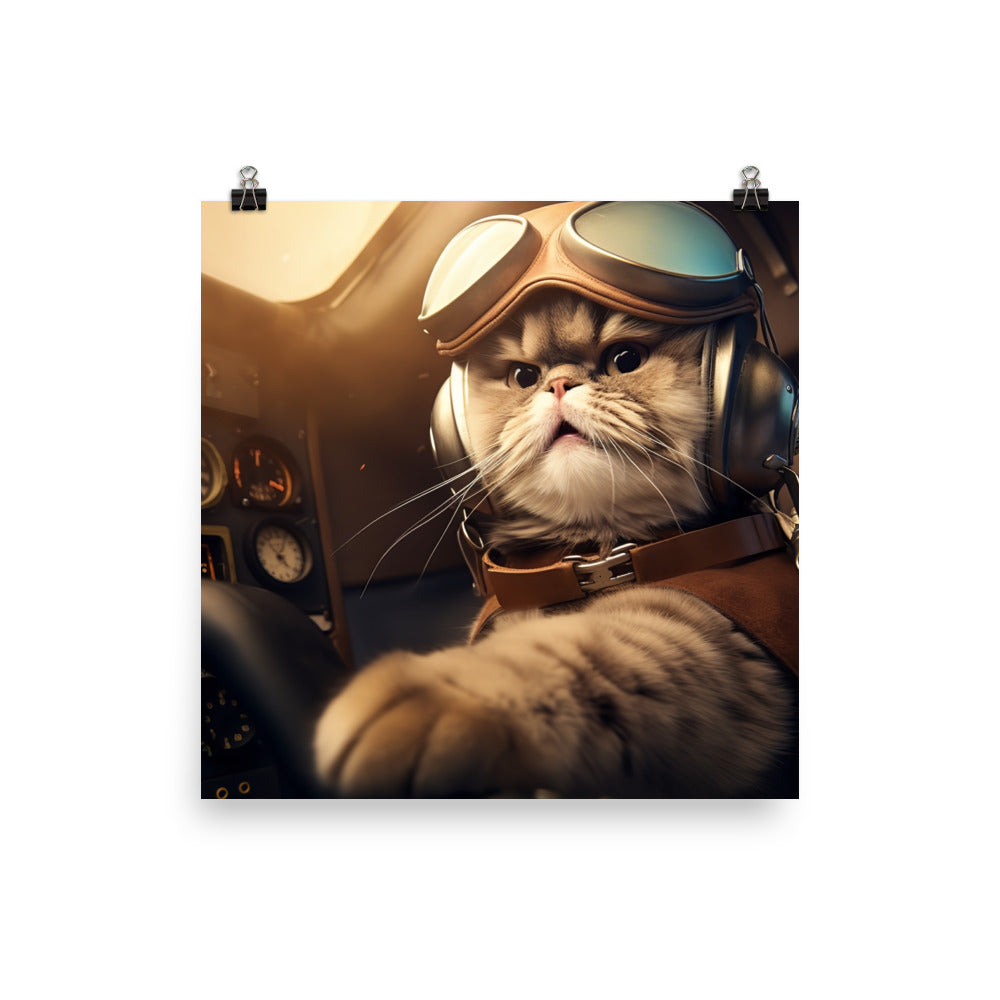Scottish Fold Pilot Photo paper poster - PosterfyAI.com