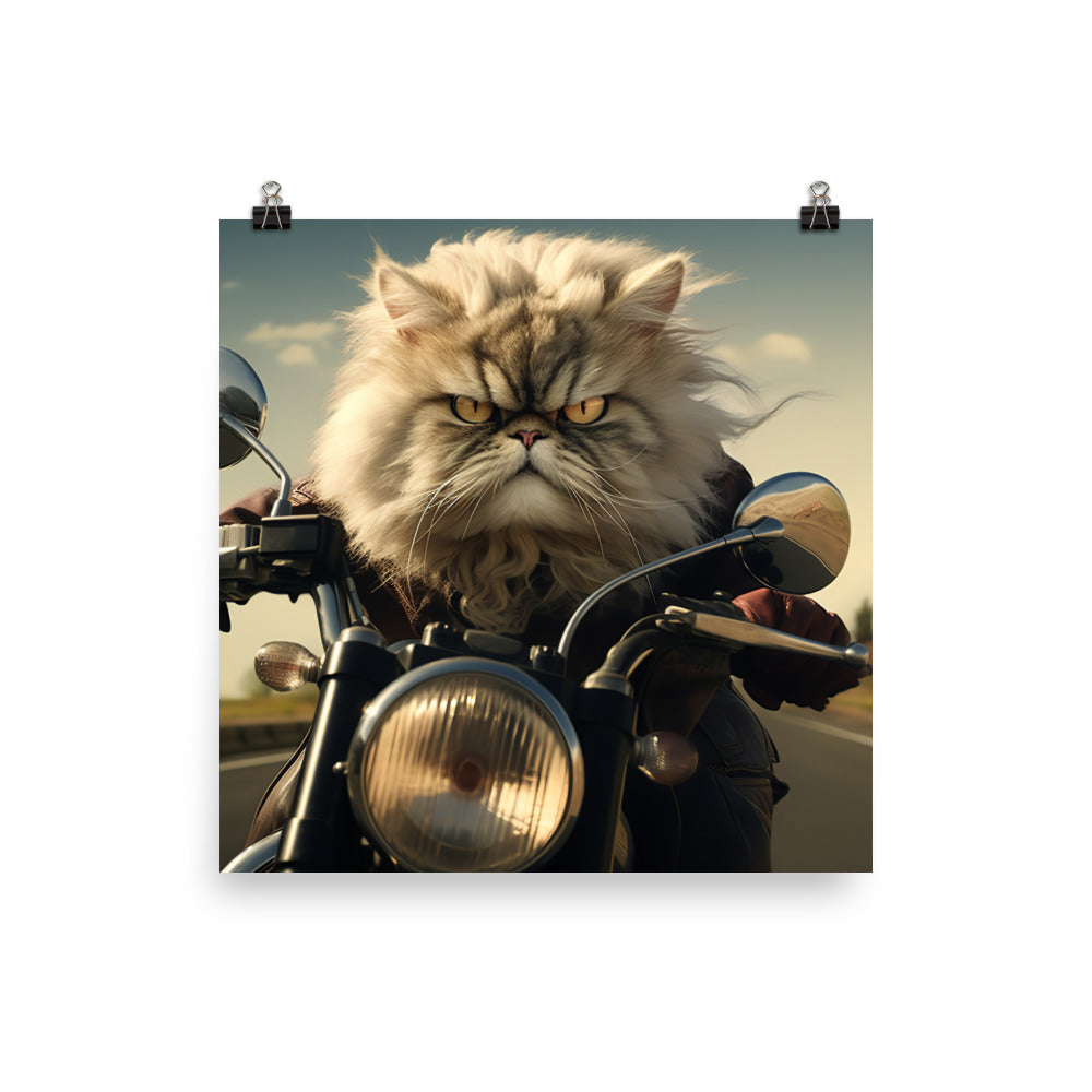 Persian Superbike Athlete Photo paper poster - PosterfyAI.com