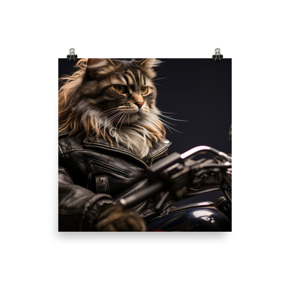 Maine Coon Superbike Athlete Photo paper poster - PosterfyAI.com