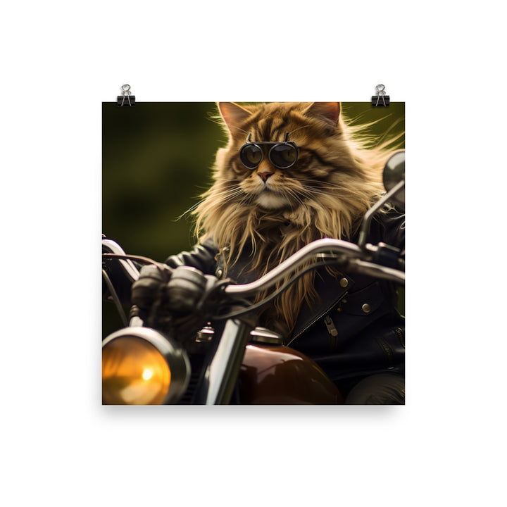 Maine Coon Superbike Athlete Photo paper poster - PosterfyAI.com