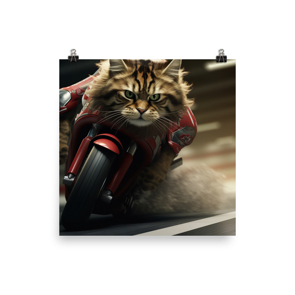 Maine Coon Superbike Athlete Photo paper poster - PosterfyAI.com