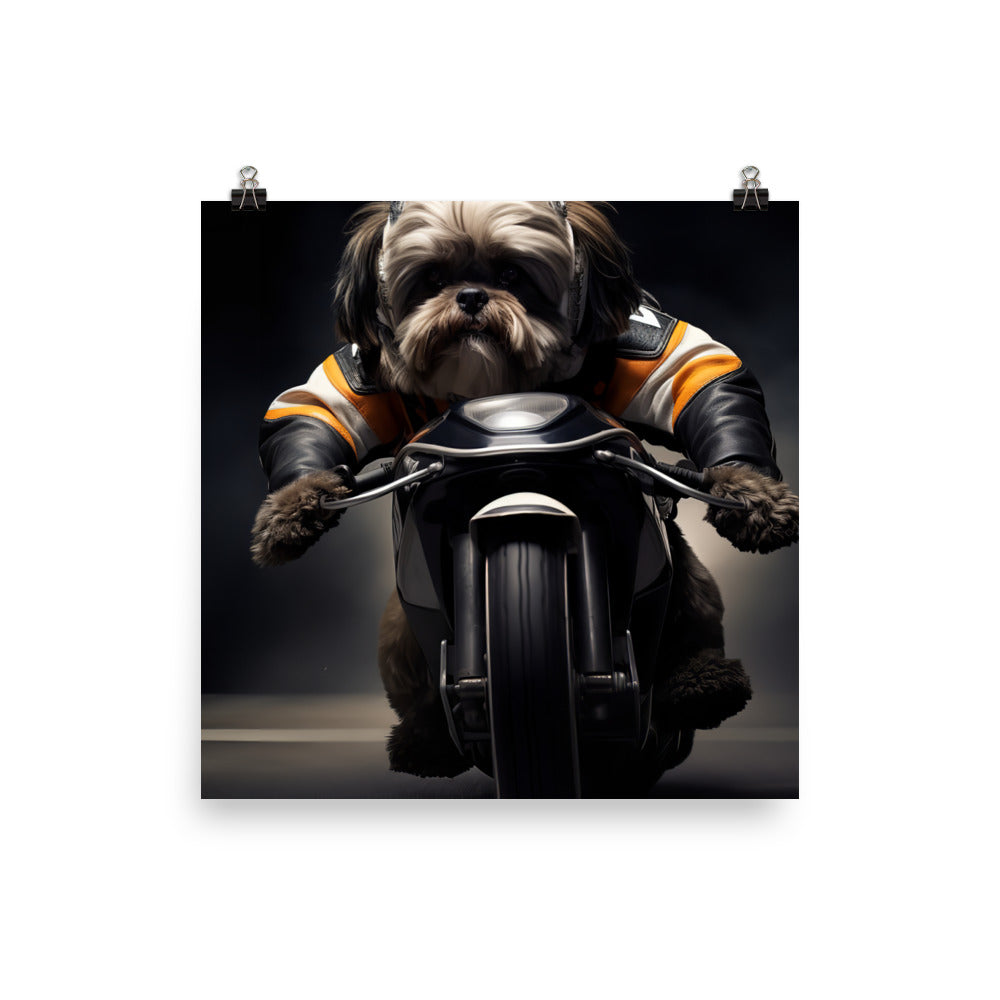 Lhasa Apso Superbike Athlete Photo paper poster - PosterfyAI.com