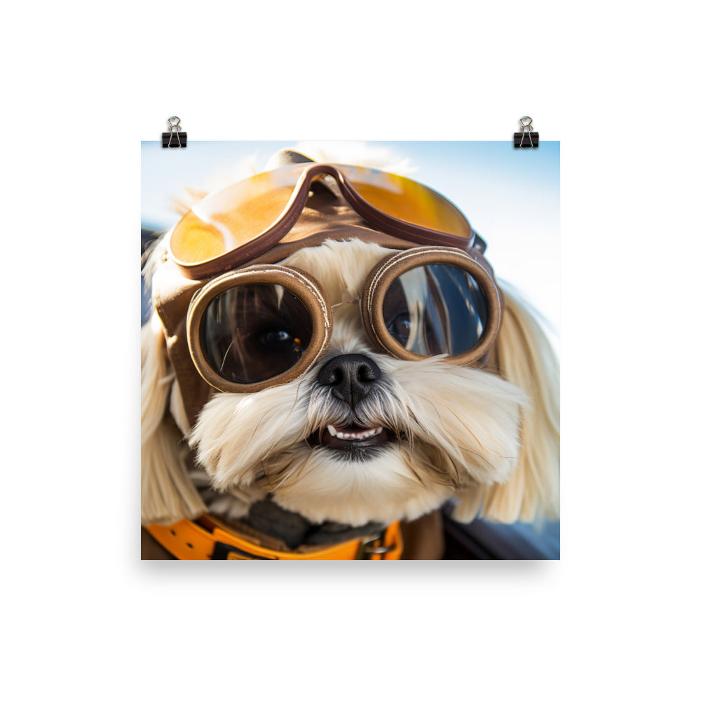 Lhasa Apso Pilot Photo paper poster - PosterfyAI.com