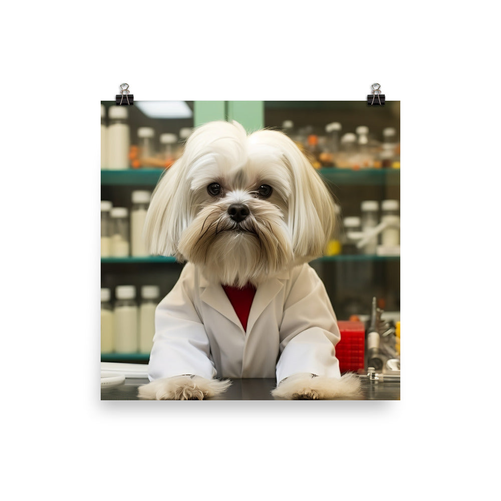 Lhasa Apso Pharmacist Photo paper poster - PosterfyAI.com