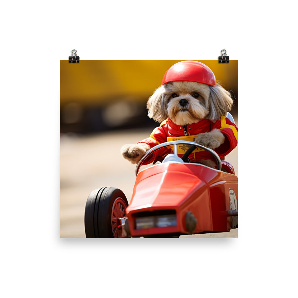 Lhasa Apso Motorsport Athlete Photo paper poster - PosterfyAI.com