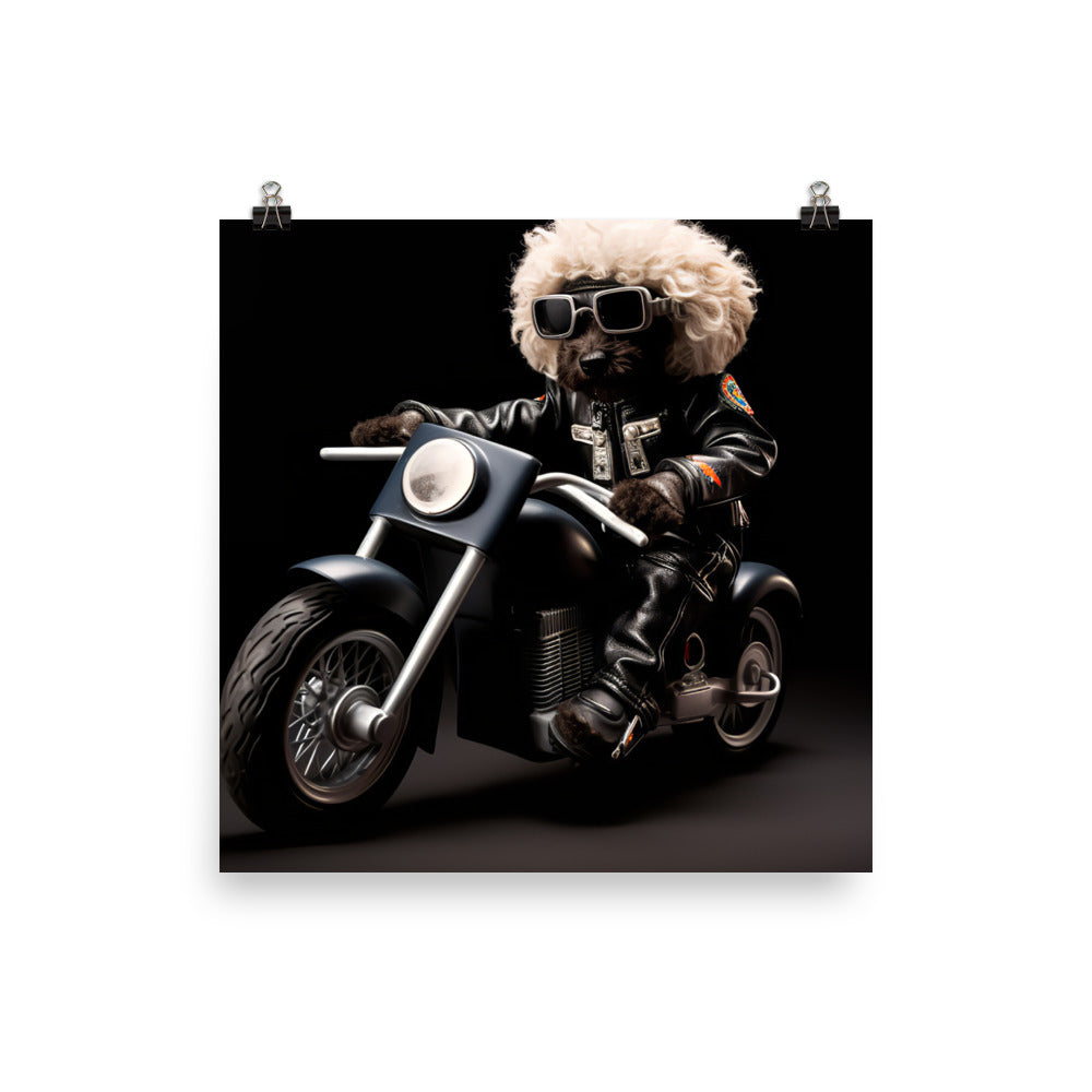 Poodle Superbike Athlete Photo paper poster - PosterfyAI.com