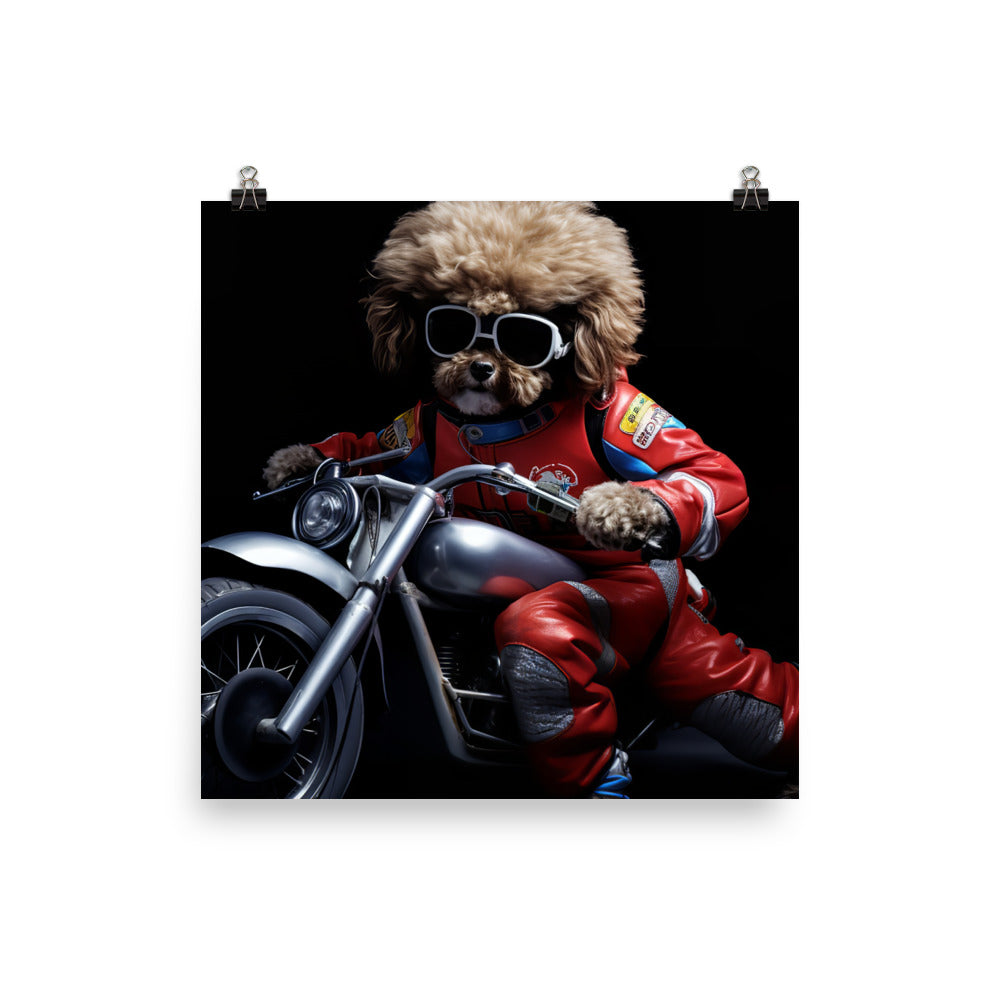 Poodle Superbike Athlete Photo paper poster - PosterfyAI.com