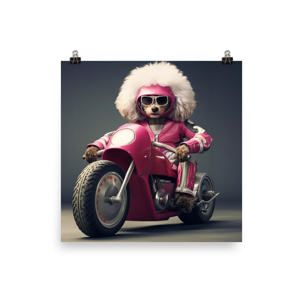 Poodle Superbike Athlete Photo paper poster - PosterfyAI.com