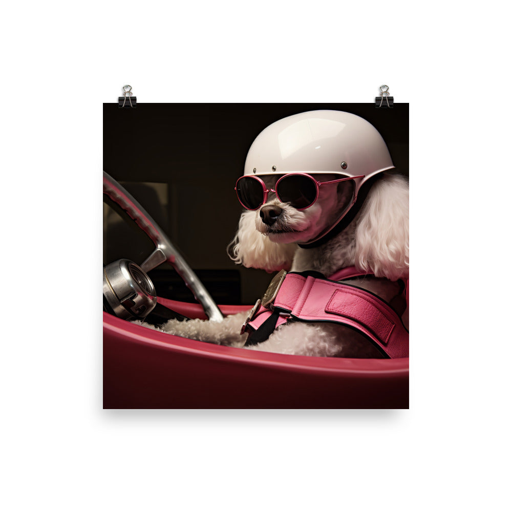 Poodle Motorsport Athlete Photo paper poster - PosterfyAI.com