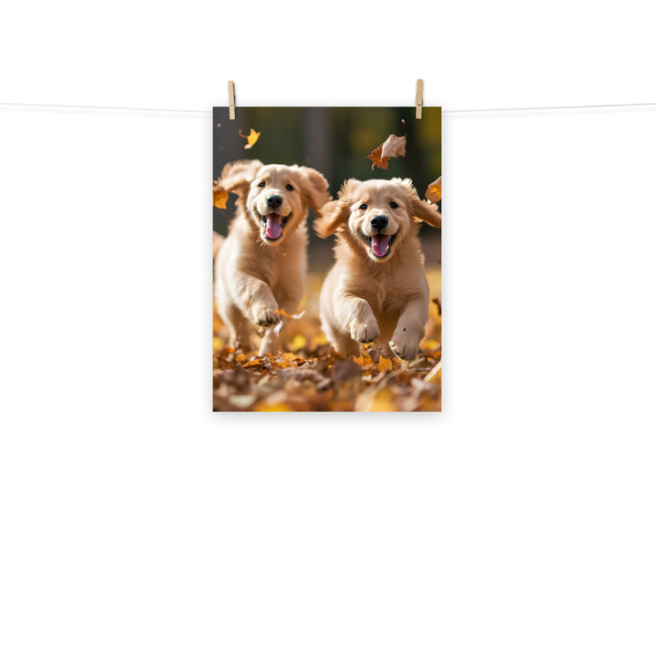 Golden Retriever Photo paper poster - PosterfyAI.com
