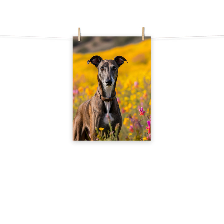 Greyhound Photo paper poster - PosterfyAI.com
