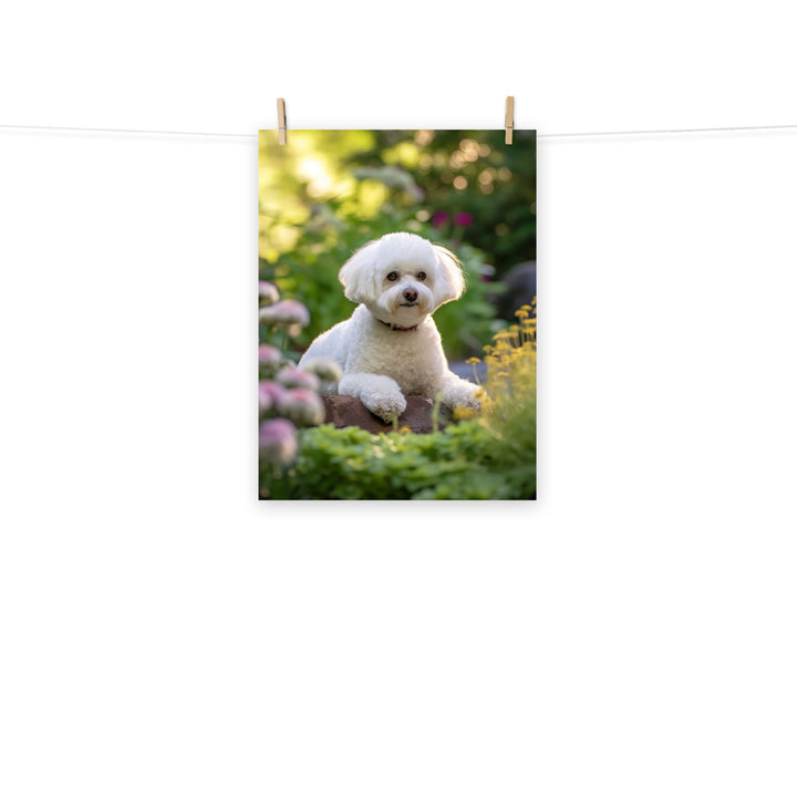 Bichon Frise Photo paper poster - PosterfyAI.com