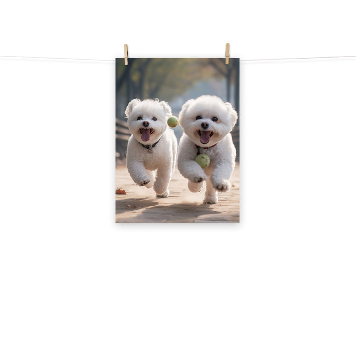 Bichon Frise Photo paper poster - PosterfyAI.com