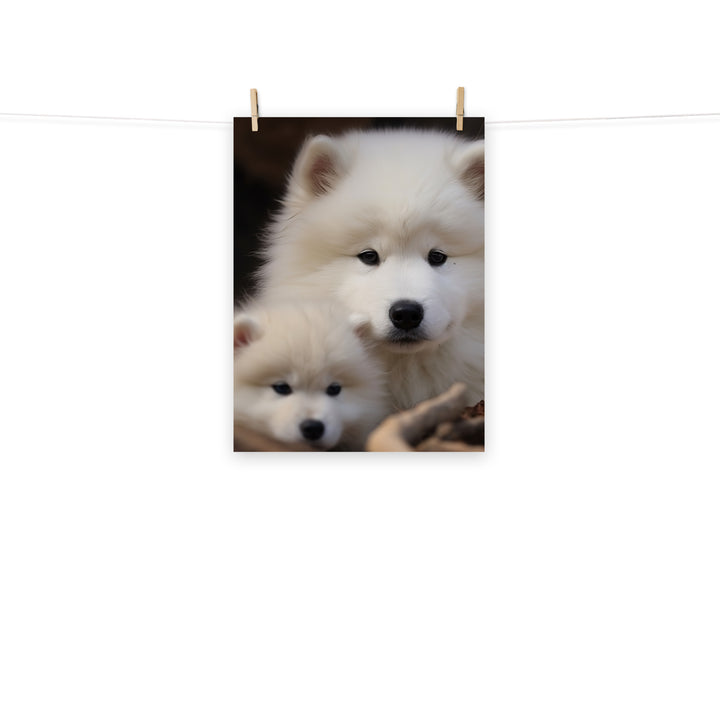 Samoyed Photo paper poster - PosterfyAI.com