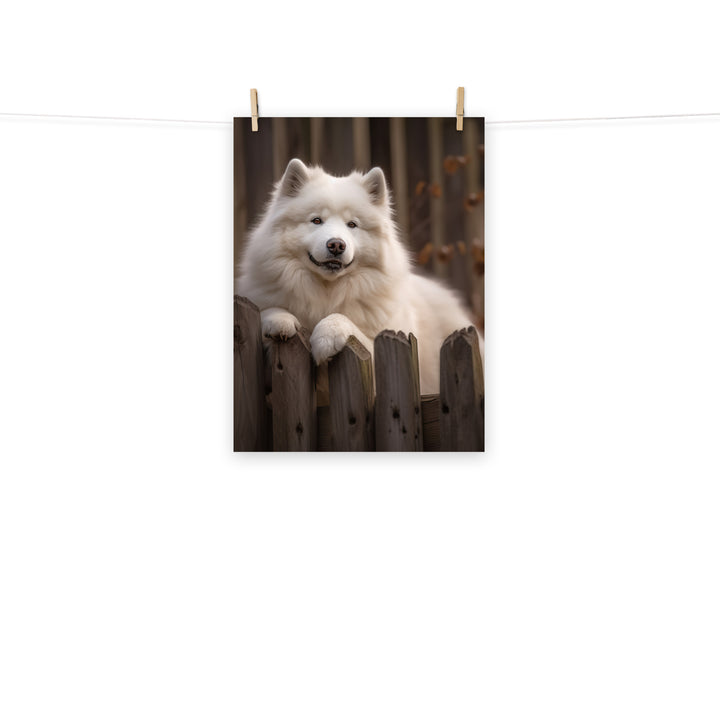 Samoyed Photo paper poster - PosterfyAI.com