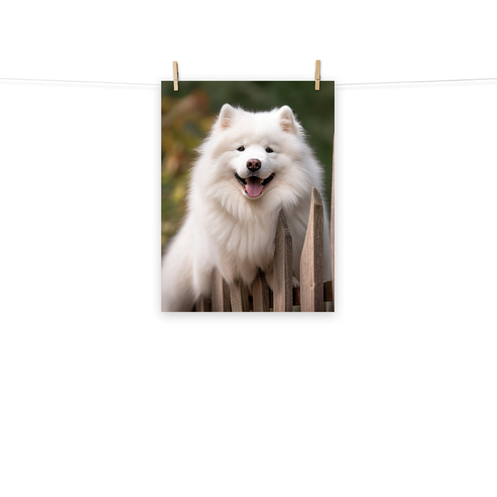 Samoyed Photo paper poster - PosterfyAI.com