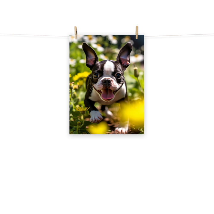 Boston Terrier Photo paper poster - PosterfyAI.com