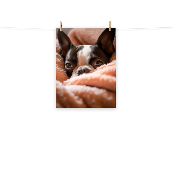 Boston Terrier Photo paper poster - PosterfyAI.com