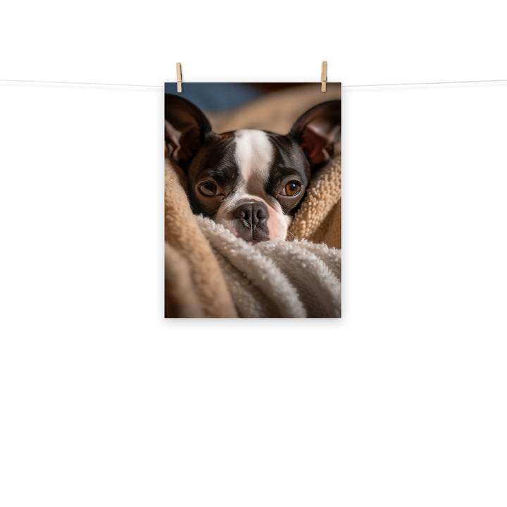 Boston Terrier Photo paper poster - PosterfyAI.com