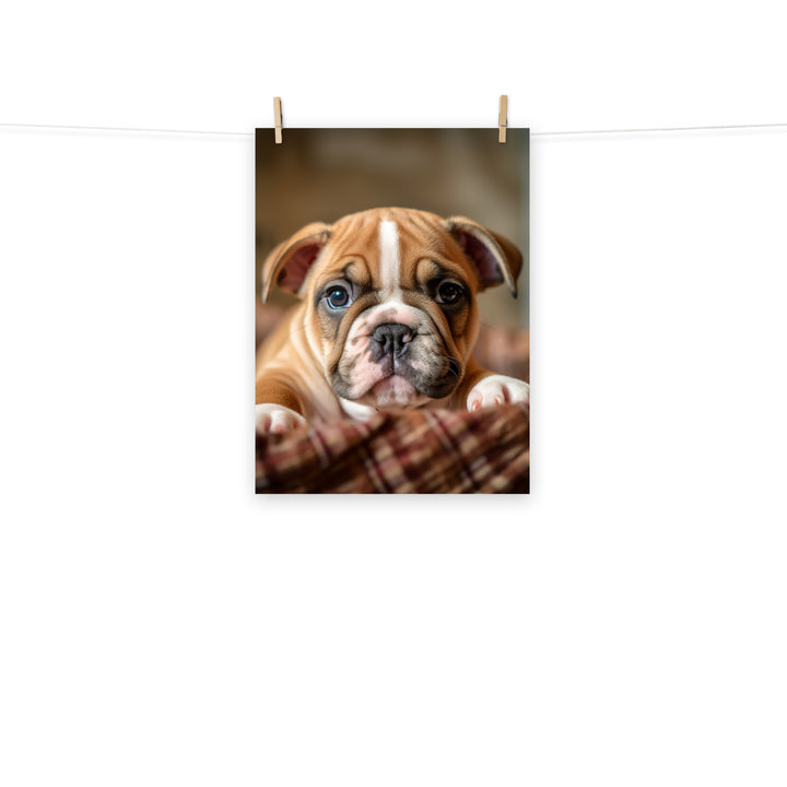 Bulldog Photo paper poster - PosterfyAI.com