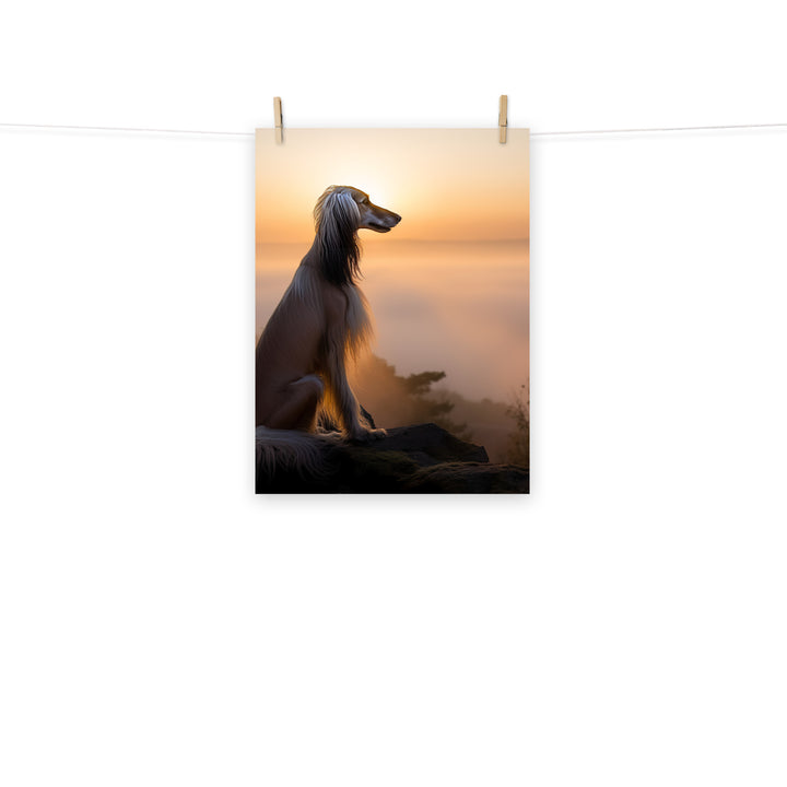 Afghan Hound Photo paper poster - PosterfyAI.com
