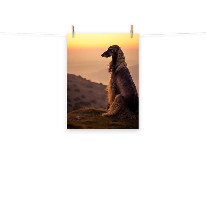 Afghan Hound Photo paper poster - PosterfyAI.com