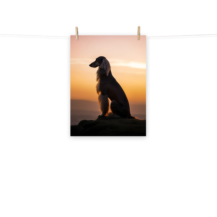 Afghan Hound Photo paper poster - PosterfyAI.com
