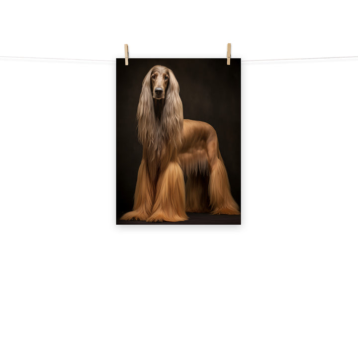 Afghan Hound Photo paper poster - PosterfyAI.com