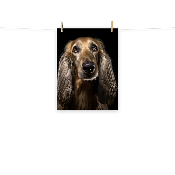 Afghan Hound Photo paper poster - PosterfyAI.com