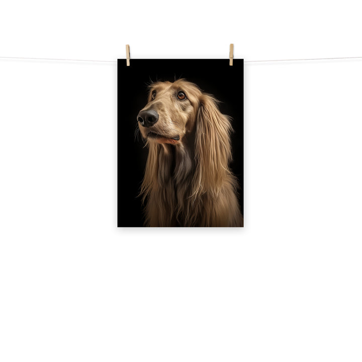 Afghan Hound Photo paper poster - PosterfyAI.com