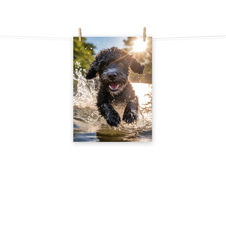 Portuguese Water Dog Photo paper poster - PosterfyAI.com