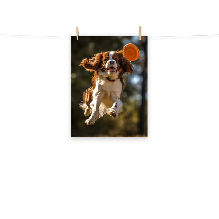 Cavalier King Charles Photo paper poster - PosterfyAI.com