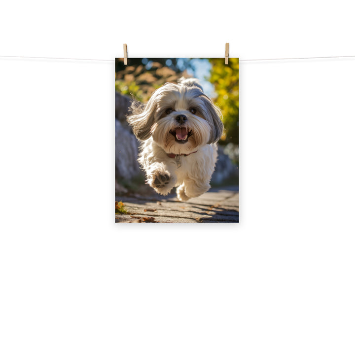 Lhasa Apso Photo paper poster - PosterfyAI.com