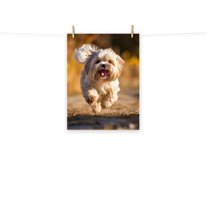 Lhasa Apso Photo paper poster - PosterfyAI.com