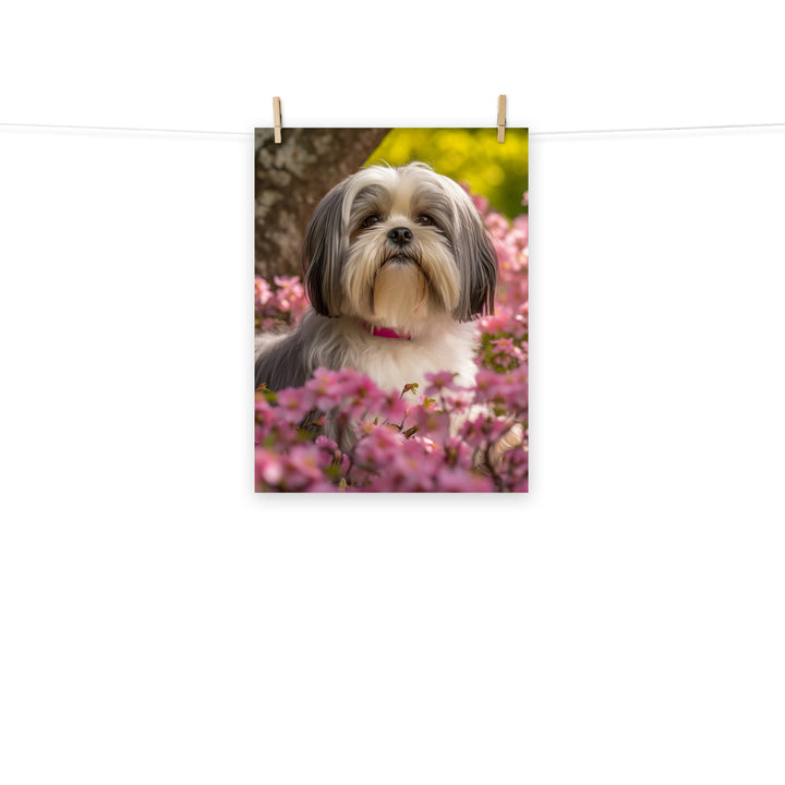Lhasa Apso Photo paper poster - PosterfyAI.com