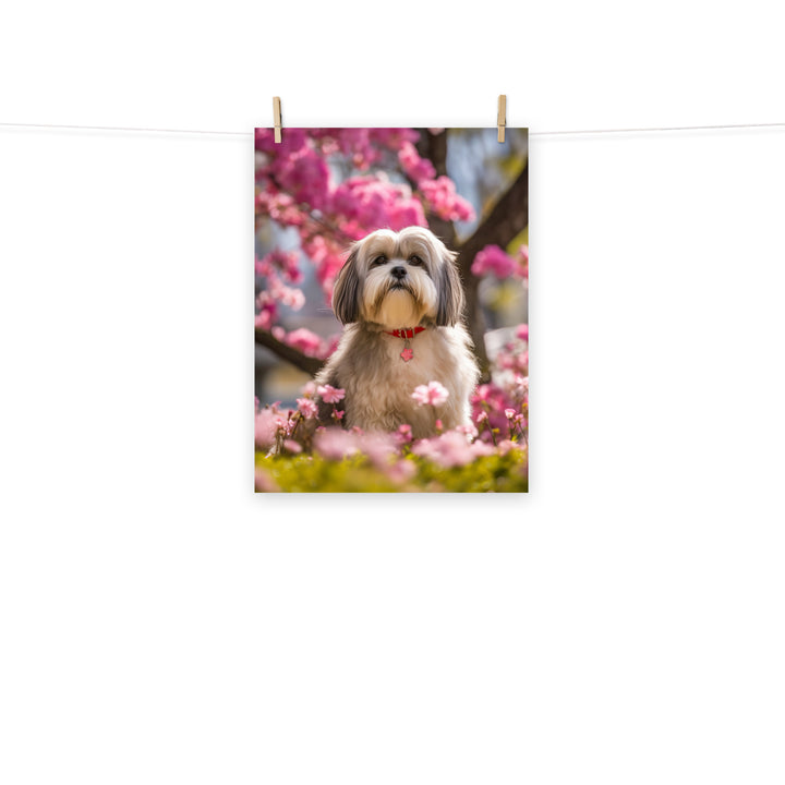 Lhasa Apso Photo paper poster - PosterfyAI.com