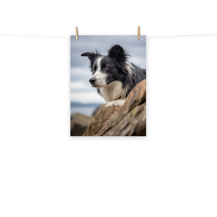 Border Collie Photo paper poster - PosterfyAI.com