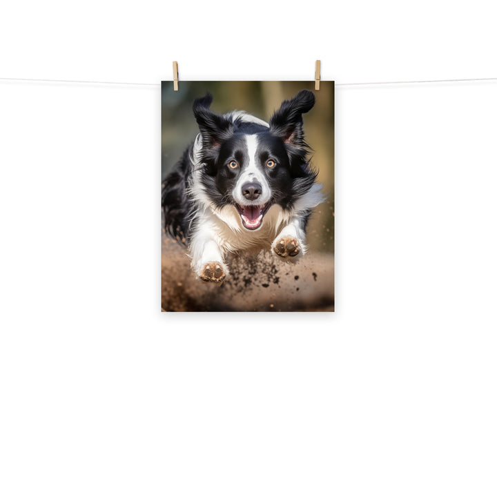 Border Collie Photo paper poster - PosterfyAI.com