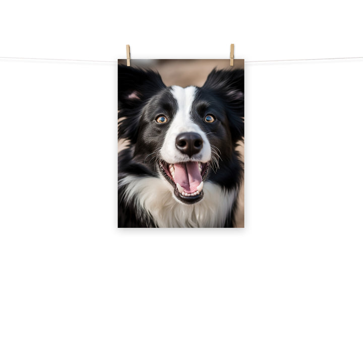 Border Collie Photo paper poster - PosterfyAI.com