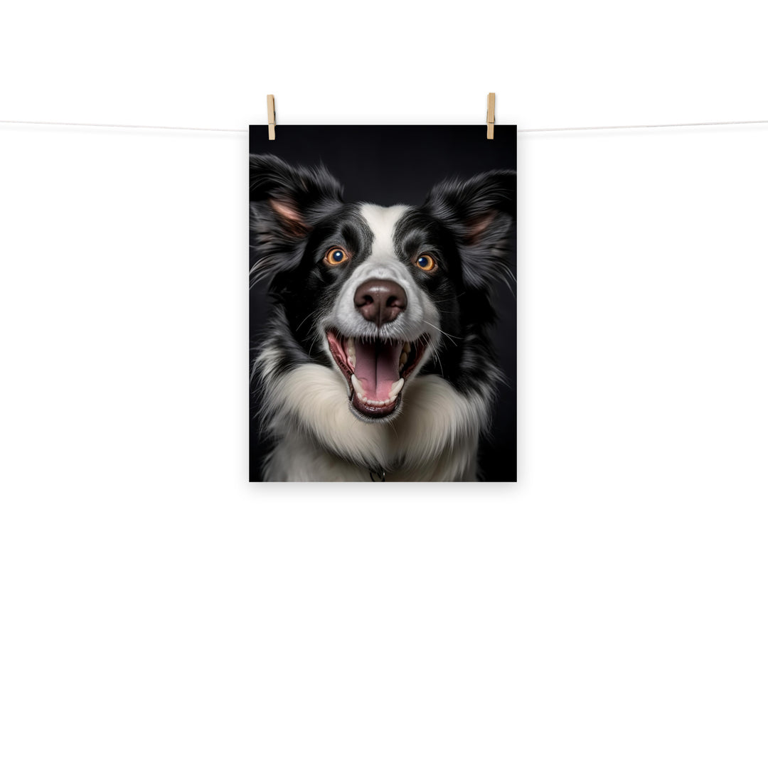 Border Collie Photo paper poster - PosterfyAI.com