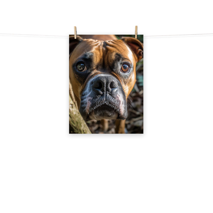 Boxer Photo paper poster - PosterfyAI.com
