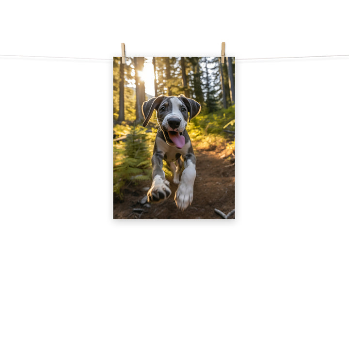 Great Dane Photo paper poster - PosterfyAI.com