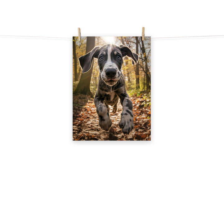 Great Dane Photo paper poster - PosterfyAI.com