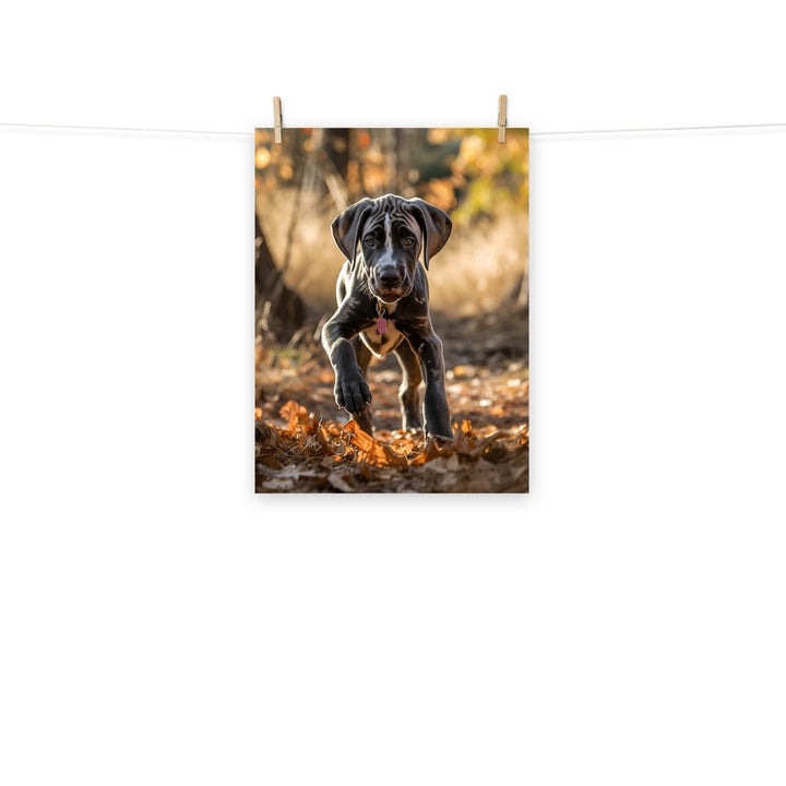 Great Dane Photo paper poster - PosterfyAI.com