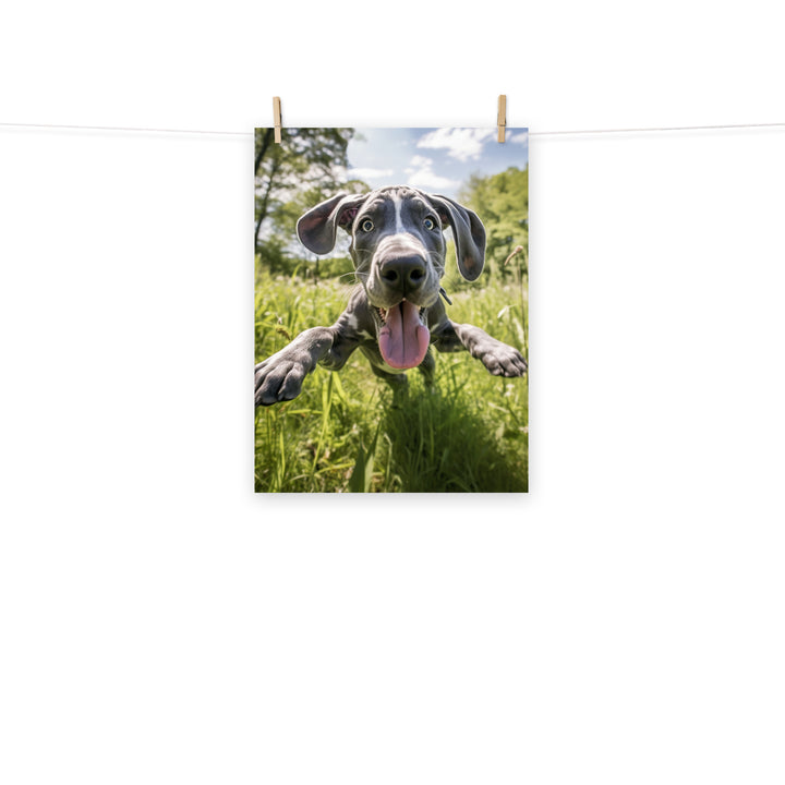 Great Dane Photo paper poster - PosterfyAI.com