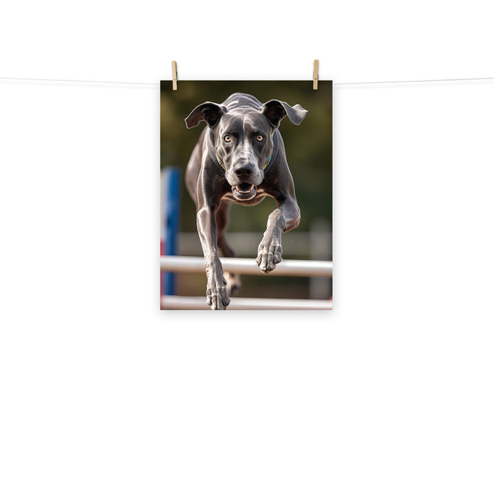 Great Dane Photo paper poster - PosterfyAI.com